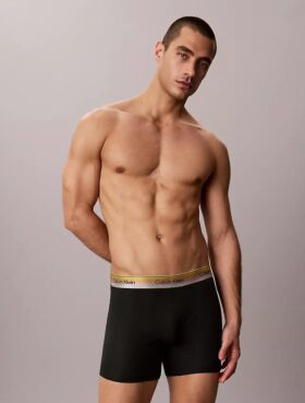 Boxer Brief Cotton Stretch Icon Pride