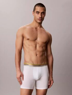 Boxer Brief Cotton Stretch Icon Pride
