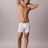 Boxer Brief Cotton Stretch Icon Pride