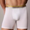 Boxer Brief Cotton Stretch Icon Pride