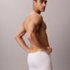 Boxer Brief Cotton Stretch Icon Pride