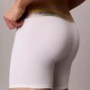Boxer Brief Cotton Stretch Icon Pride