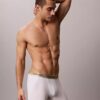 Boxer Brief Cotton Stretch Icon Pride