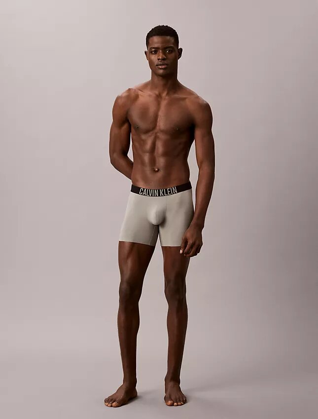 Boxer Brief Intense Power Motion Boxer Brief Intense Power Motion