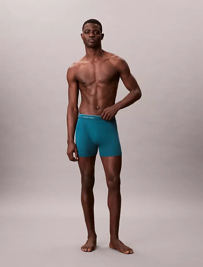 Boxer Briefs clásicos de algodón, paquete de 5 Boxer Briefs clásicos de algodón, paquete de 5