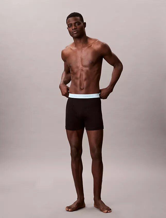 Boxer Briefs clásicos de algodón, paquete de 5 Boxer Briefs clásicos de algodón, paquete de 5