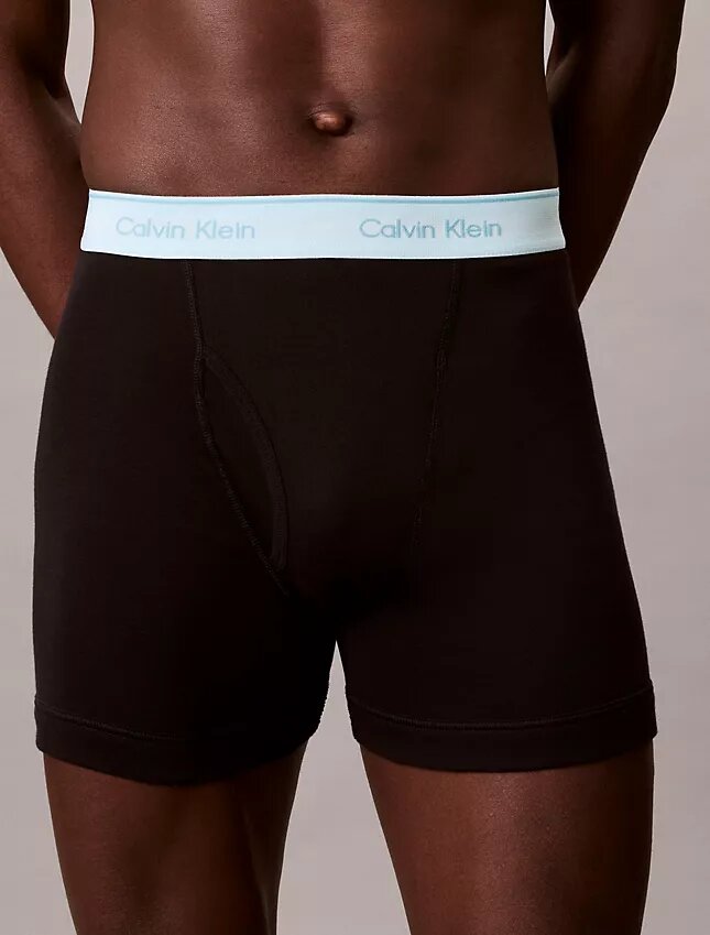 Boxer Briefs clásicos de algodón, paquete de 5 Boxer Briefs clásicos de algodón, paquete de 5