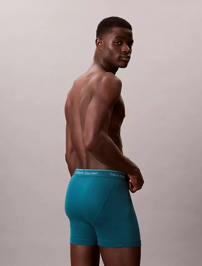 Boxer Briefs clásicos de algodón, paquete de 5 Boxer Briefs clásicos de algodón, paquete de 5