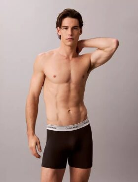 Boxer Icon Cotton Stretch metalizado, paquete de 3 Boxer Briefs