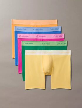 Boxer Icon de algodón Cotton Stretch Pride, paquete de 5 Boxer Briefs