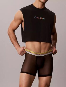Boxer Icon Mesh Pride Bóxer ajustado