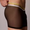 Boxer Icon Mesh Pride Bóxer ajustado