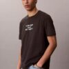 Camiseta clásica con gráfico Ckj Camiseta clásica con gráfico Ckj