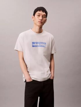 Camiseta clásica con gráfico de logotipo descolorido