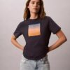 Camiseta clásica con gráfico de puesta de sol Camiseta clásica con gráfico de puesta de sol