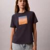 Camiseta clásica con gráfico de puesta de sol Camiseta clásica con gráfico de puesta de sol