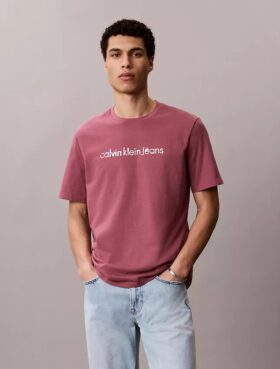 Camiseta clásica con gráfico del logotipo en minúsculas