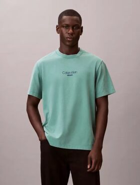 Camiseta clásica con gráfico del logotipo y lavado ácido