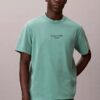 Camiseta clásica con gráfico del logotipo y lavado ácido Camiseta clásica con gráfico del logotipo y lavado ácido