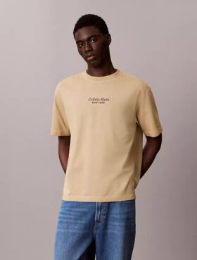 Camiseta clásica de cuello redondo con gráfico del logotipo en tinte descolorido