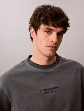 Camiseta clásica de cuello redondo con gráfico del logotipo en tinte descolorido