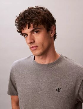 Camiseta holgada con Monogram bordado