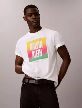 Camiseta sencilla con bloque del logotipo del Orgullo