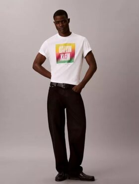 Camiseta sencilla con bloque del logotipo del Orgullo