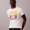 Camiseta sencilla con bloque del logotipo del Orgullo