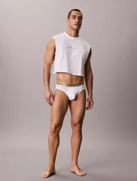 Cotton Stretch Pride Hip Brief Cotton Stretch Pride Hip Brief