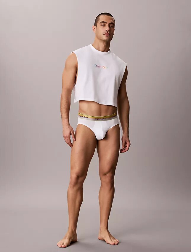 Cotton Stretch Pride Hip Brief Cotton Stretch Pride Hip Brief