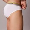Cotton Stretch Pride Hip Brief Cotton Stretch Pride Hip Brief