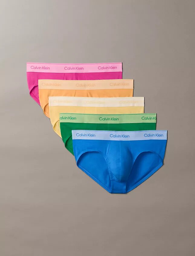 Cotton Stretch Pride Slips, paquete de 5 Cotton Stretch Pride Slips, paquete de 5
