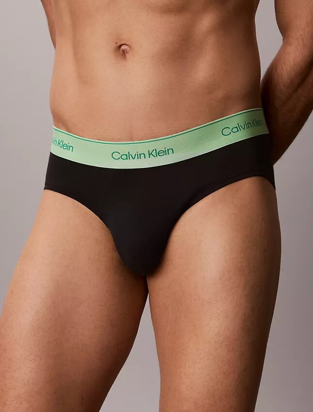 Cotton Stretch Pride Slips, paquete de 5 Cotton Stretch Pride Slips, paquete de 5