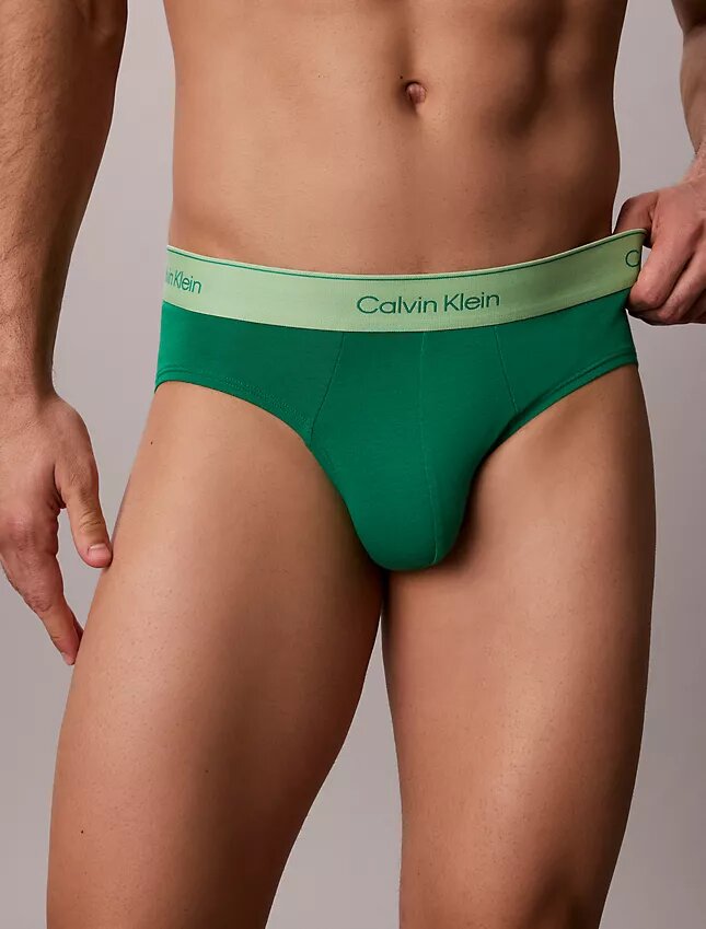 Cotton Stretch Pride Slips, paquete de 5 Cotton Stretch Pride Slips, paquete de 5