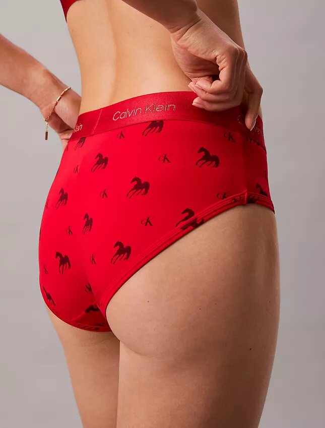 Hipster de Año Nuevo Lunar Hipster de Año Nuevo Lunar