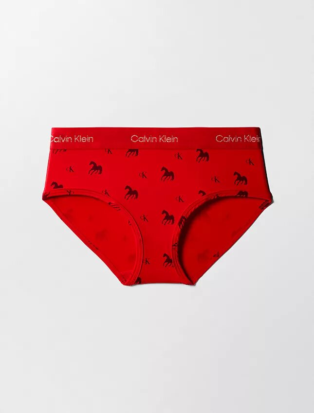 Hipster de Año Nuevo Lunar Hipster de Año Nuevo Lunar