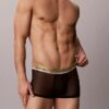 Low Rise Trunk de Icon Mesh Pride