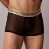 Low Rise Trunk de Icon Mesh Pride