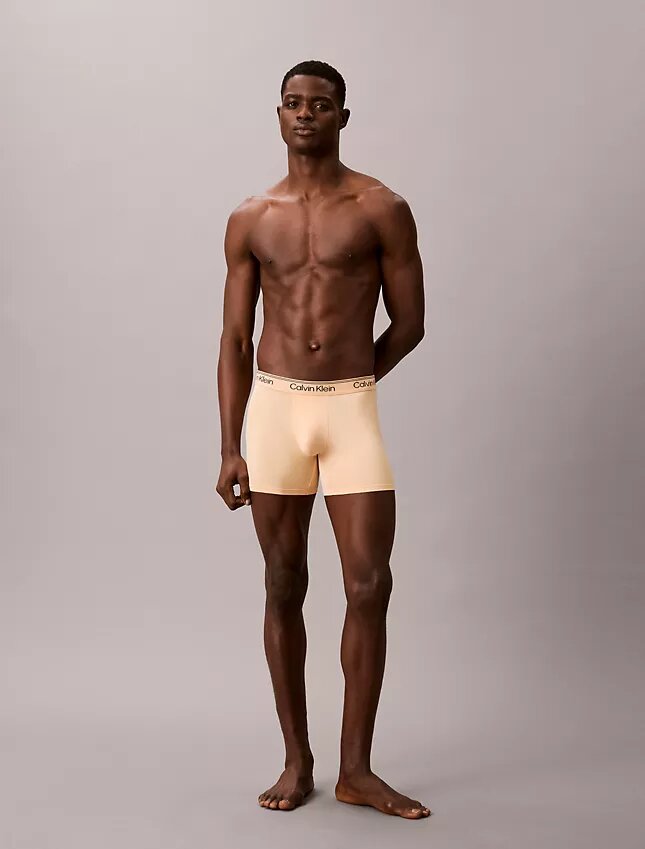 Microfiber Boxer Brief, paquete de 3 Microfiber Boxer Brief, paquete de 3