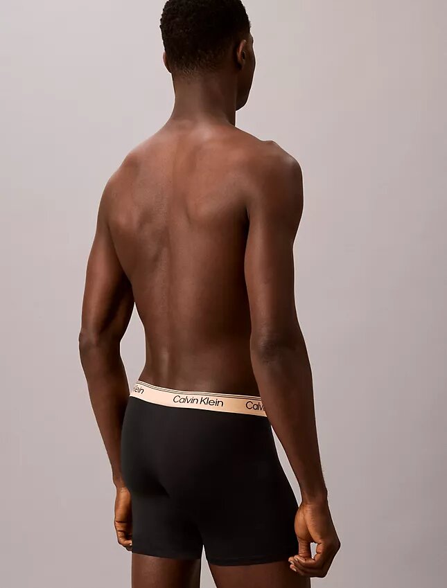 Microfiber Boxer Brief, paquete de 3 Microfiber Boxer Brief, paquete de 3