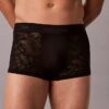 Microfiber Low Rise Trunk con encaje