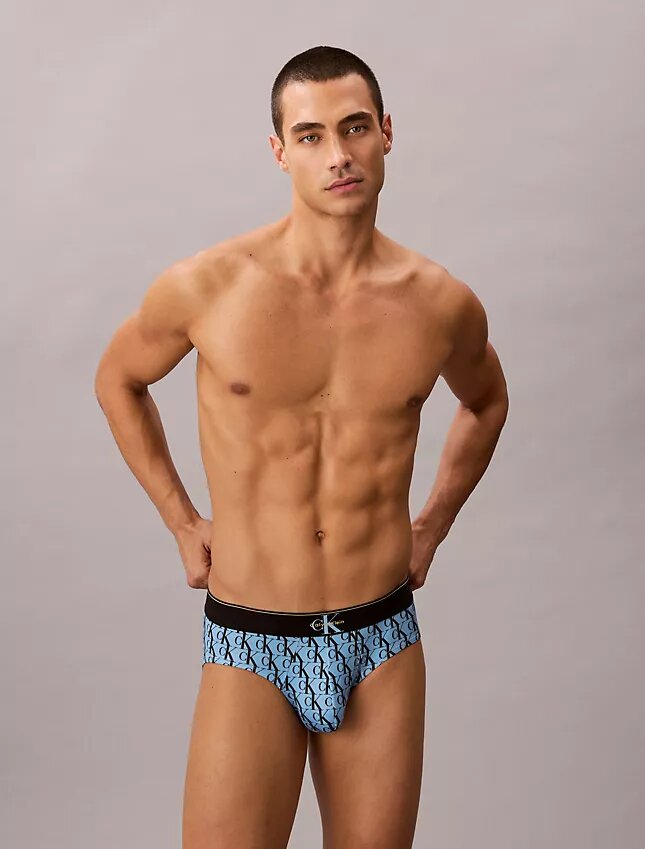 Microfiber Stretch Hip Brief Microfiber Stretch Hip Brief