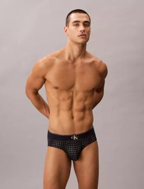 Microfiber Stretch Hip Brief Microfiber Stretch Hip Brief