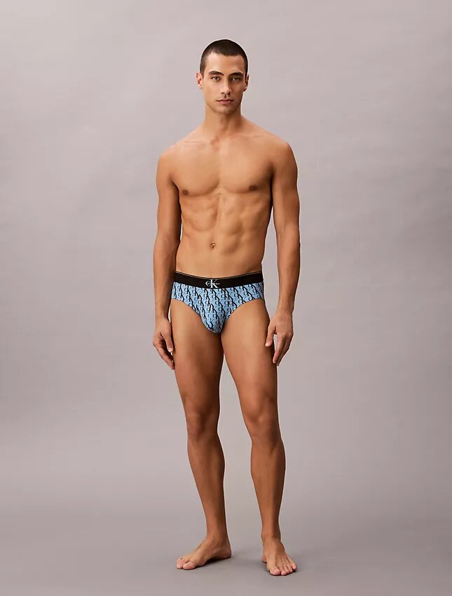 Microfiber Stretch Hip Brief Microfiber Stretch Hip Brief