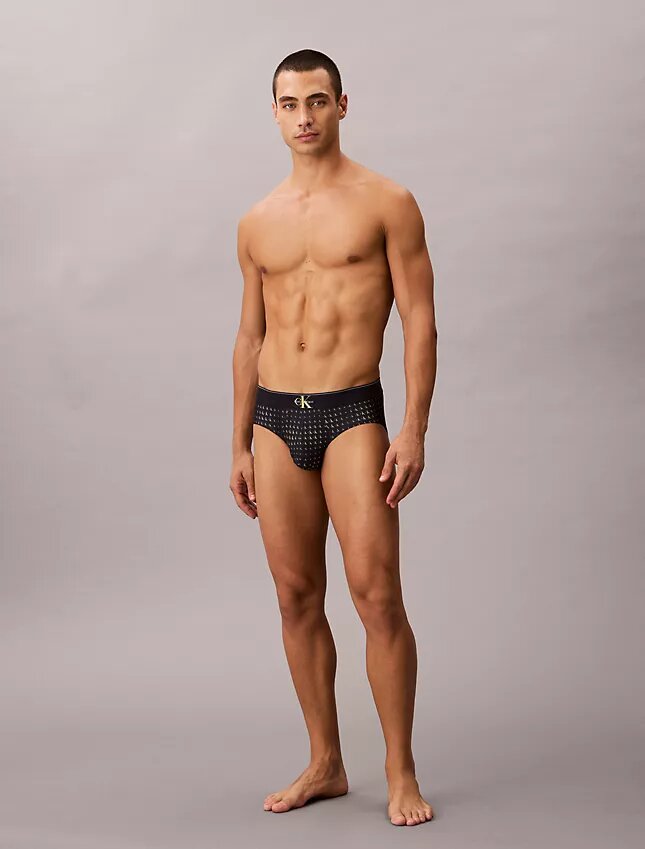 Microfiber Stretch Hip Brief Microfiber Stretch Hip Brief