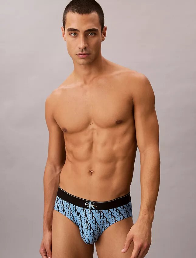 Microfiber Stretch Hip Brief Microfiber Stretch Hip Brief