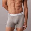 Pack de 3 Boxer Briefs Icon Cotton Stretch