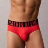 Pack de 3 slips ajustados Intense Power Micro