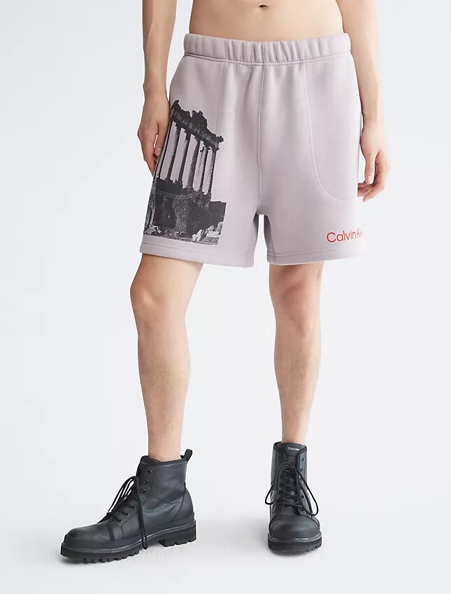 Pantalones cortos de felpa con estampado gráfico Ruins de Standards Pantalones cortos de felpa con estampado gráfico Ruins de Standards
